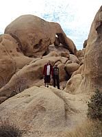 joshua tree (6) (Copier).JPG